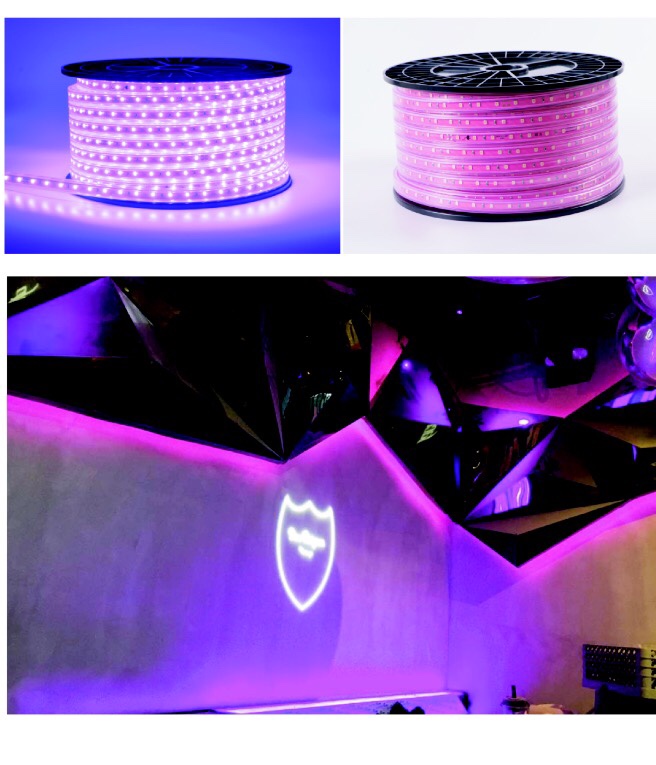 Đèn LED dây - Công Ty TNHH Thương Mại Luen Thai